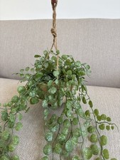 Next hanging trailing - next,
