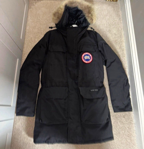 Canada goose expedition - goose,
