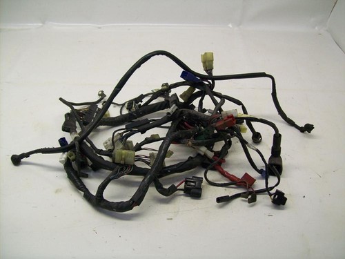 Electric wiring harness - electric,