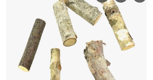 White silver birch - silver,