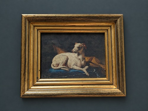 Framed italian greyhound - italian,