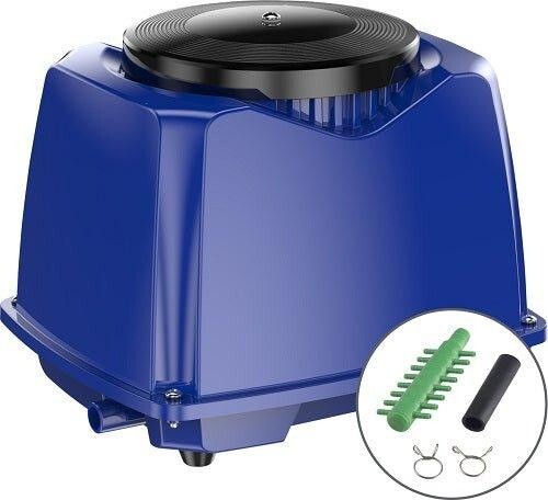 Allpondsolutions outdoor pond - outdoor,