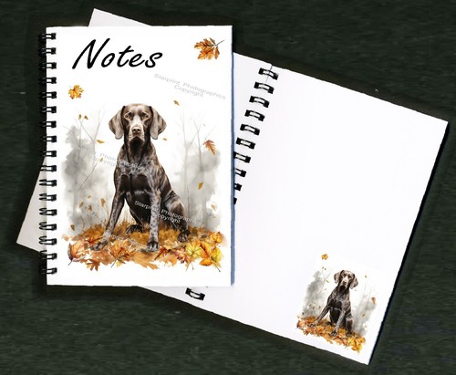 German shorthaired pointer dog - shorthaired,