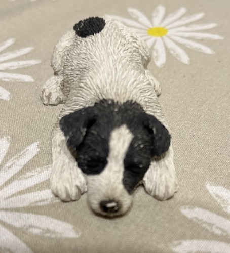 Sandicast jack russell - sandicast, terrier