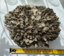 Pyrite On Dogtooth Calcite