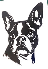 1x Boston Terrier Decal Vinyl