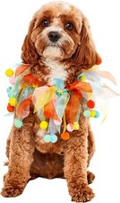 Pom-Pom Party Collar Fancy