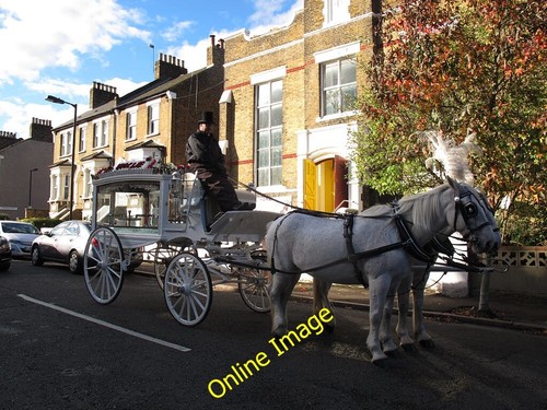 Photo 6x4 white horse - photo,