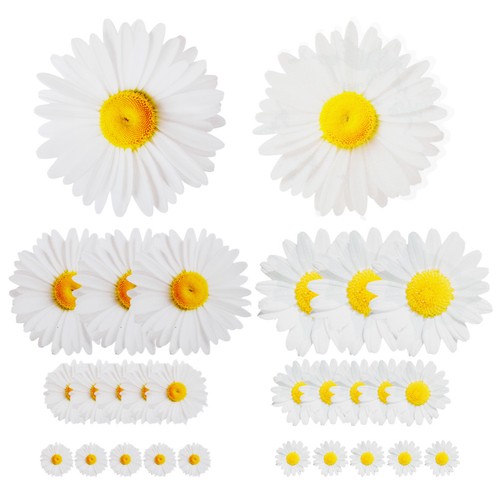 Flower wallpaper decoration - flower,