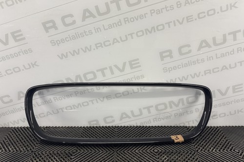 Genuine jaguar type - jaguar, x152