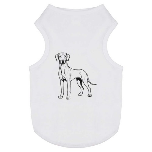 Rhodesian ridgeback dog - ridgeback, dog'