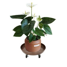 14" Plant Caddy Rolling Stand