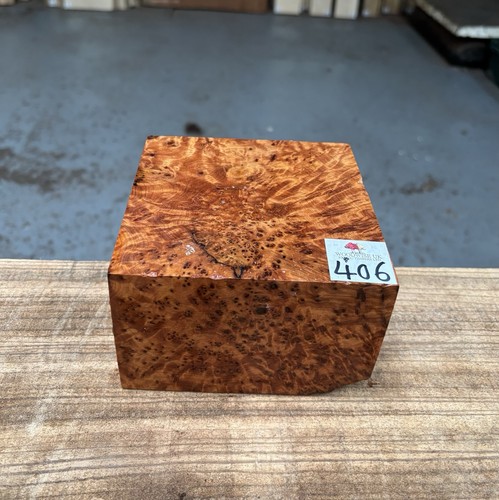 Thuya burr 5 - thuya, 3”