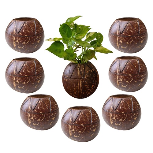 Coconut shell zig zag - coconut,