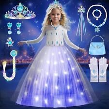 Little Girls Elsa Costume Princess Accessories Set Light Up Fancy Dress Birthday