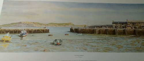 Lyme regis harbour robin - lyme,