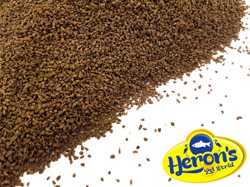 Herons premium tropical fish - herons,