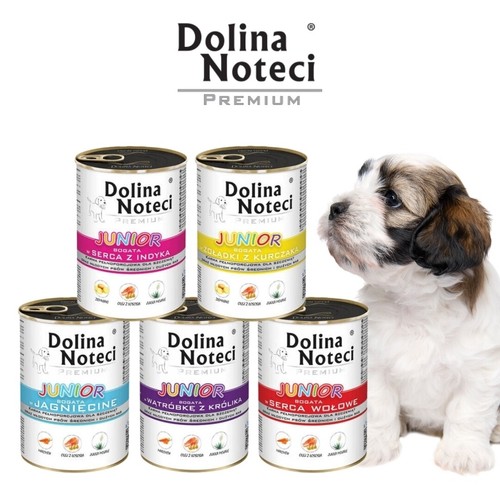 Dolina noteci junior wet - junior, dog