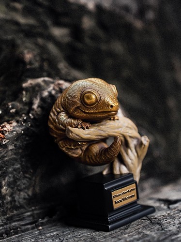 Bowuzhi rhacodactylus - bowuzhi,