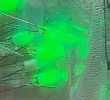 20x Green NIXIE Vacuum