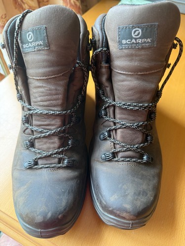 Scarpra terra gtx hiking - scarpra,