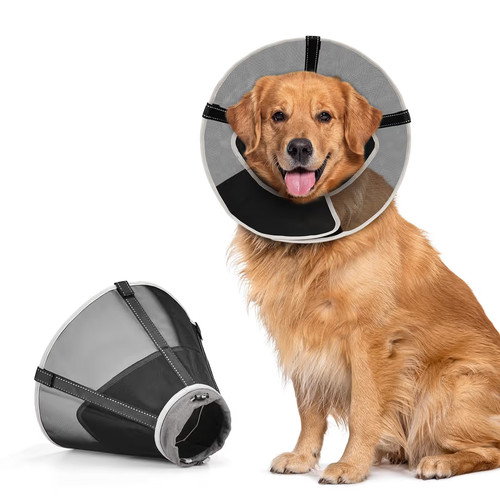 Dog cone recovery - recovery, collar