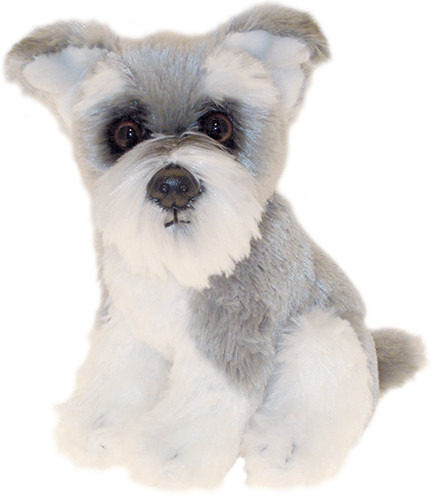 Schnauzer teddy - 6.5",