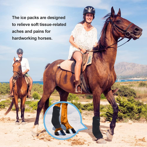 Horse ice pack cooling wraps - ice,