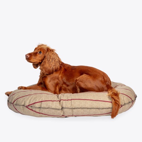 Oval dog bed danish - dog, design
