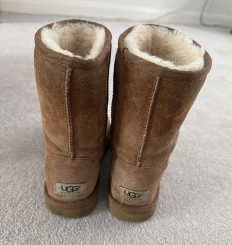 Uggs classic short - classic,
