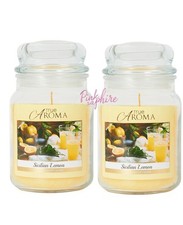2 True Aroma Large Mason Jar