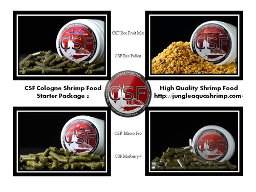 Cologne shrimp food - shrimp, csf