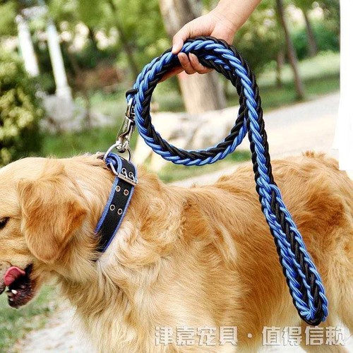 Braided dog leash - dog, duty