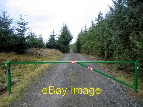 Photo 6x4 pedestrians - 6x4,