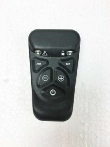 Portway gas fire - gas, remote