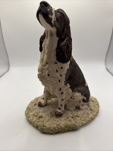 Vintage english springer - vintage,