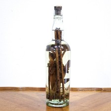 Irish Folk Art ‘God In A Bottle’