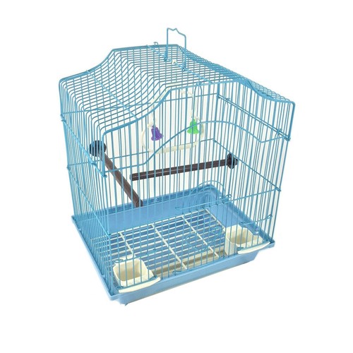Small parakeet wire bird - parakeet,
