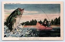 Postcard  Greetings From St