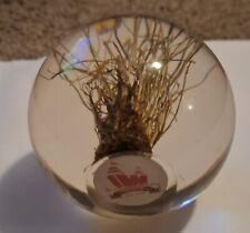 Rare Wembley Stadium turf