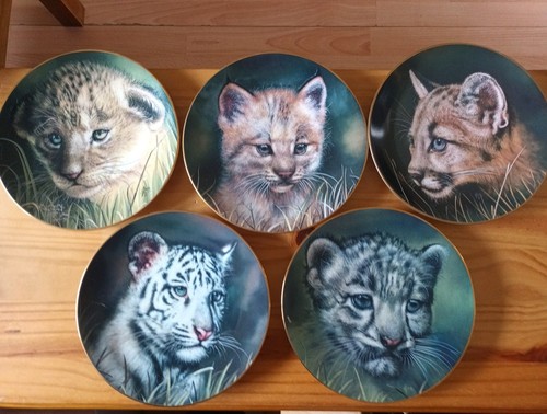 Collection princeton - collection,
