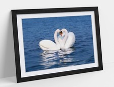 SWANS KISSING HEART LOVE HOME