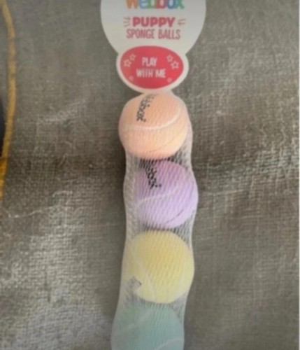 Webbox set puppy sponge - of,