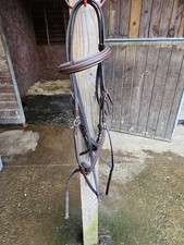 Pessoa Grackle Bridle - Brown