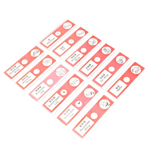 Microscope slide kit for - slide,