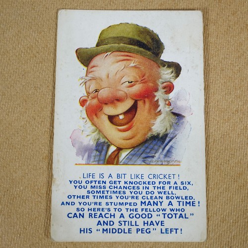 Vintage postcard funny - postcard, comic