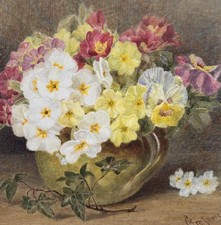 Victorian Watercolour Floral Still Life 1898 by Henrietta Creswell