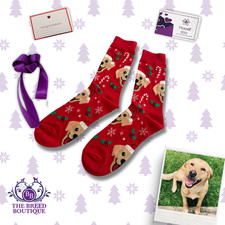 YELLOW LABRADOR CHRISTMAS