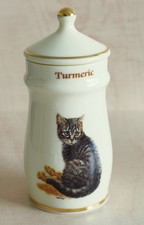 LESLEY ANNE IVORY CAT SPICE JAR ORNAMENT - TURMERIC - CHRISTIE ENGLISH TABBY CAT