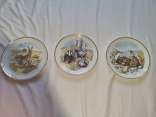 Susan Beresford Wildlife of